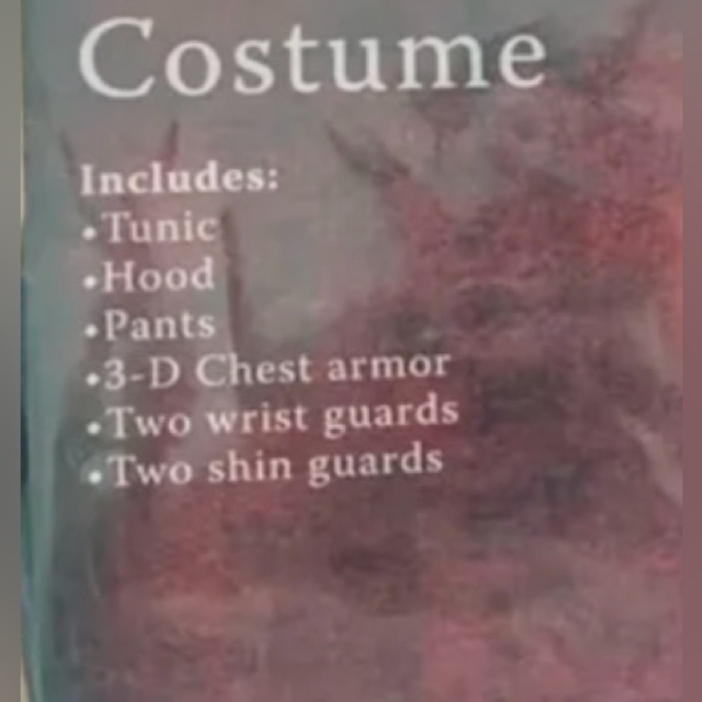 Costume Halloween ninja boys size 10-12 new condition 8 piece set Fun World - Picture 9 of 10